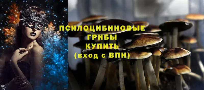 Псилоцибиновые грибы MAGIC MUSHROOMS  Голицыно 